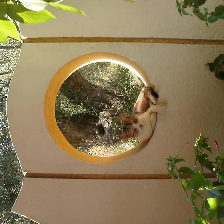 Athina Hotel apartamentowy